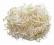 Fasola Mung nasiona na kiełki - 40 g kiełkownica