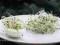 Mieszanka ostra 30g - rzeżucha, koniczyna, lucerna