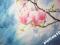 Obraz Magnolie kwiaty 40x60