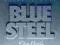 Struny basowe Dean Markley Blue Steel NPS 45-100