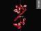 Depeche Mode - Violator LP(FOLIA) ################