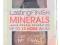 RIMMEL LASTING FINISH minerals puder+pędzel KABUKI