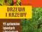 VADEMECUM MIŁOŚNIKA PRZYRODY DRZEWA I KRZEWY