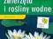 POZNAJEMY ZWIERZĘTA I ROŚLINY WODNE Idealny Wyciec