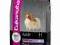 EUKANUBA ADULT SMALL BREED 1 KG+1 KG GRATIS