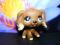 Littlest Pet Shop Cocker Spaniel UK