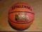 SPALDING GOLD SERIES NBA