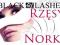 BLACK-LASHES Rzęsy NORKI 0,25g 0,20 x 10 mm typ C