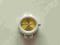 M06 - KOPERTA JELLY WATCH  OKRĄGŁA ŻÓŁTA
