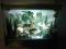 Lampka nocna (akwarium) 3D Wzór - Góry !!