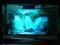 Lampka nocna (akwarium) plazma 3D Wzór - Wodospad