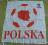 Flaga reprezentacji Polski, Polska *EURO 2012*