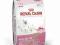 Royal Canin sucha karma babycat 0,4kg