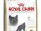 Royal Canin British Shorthair34 sucha karma 4 kg