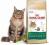 Royal Canin Maine Coon31 sucha karma 0,4kg