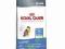 Royal Canin Light sucha karma 4kg