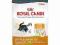 Royal Canin hair&skin33 sucha karma 2kg