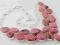 Naszyjnik/ Kolia- Pink , Rozowy  RADONIT  pr.925