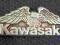 KAWASAKI Eagle Orzeł Pins Odznaka Pin