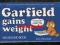 GARFIELD - KOMIKS - WYD. USA w 1981r