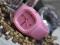 FANTASTYCZNY SOLIDNY ZEGAREK JELLY *NOWY* PASTEL