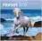 Piękny kalendarz HORSES 2012 zdjęcia koni KONIE