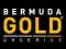 LAMPA BERMUDA GOLD 1000 160W 2.6% STARTER HURT-DET