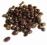 Coffea arabica - KAWA - ŚWIEŻE NASIONA