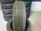 Opona 205/60/16 C Dunlop Sp Winter Sport M2 Nowa