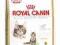 ROYAL CANIN MAINE COON KITTEN SUCHA KARMA 0,4 KG