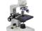 Mikroskop Delta Optical BioStage Pow. 1000x JAKOŚĆ