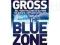 Andrew Gross - Blue Zone
