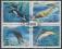 ZSRR '90 - ssaki morskie, delfin, foki, orka