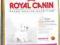 ROYAL WEST HIGHLAND WHITE TERRIER 2kg + KURIER