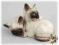 Royal Doulton - Kot, koty Syjamskie- sygnowana