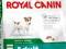 ROYAL CANIN Mini Adult 2 x 8kg + 2x GRATISY