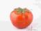 Sztuczne owoce warzywa pomidor dekoracja