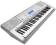 Casio CTK-4000 Keyboard