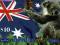 Australia - Fauna - Koala 1