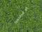 Mata dzikiej trawy podłoże leśne 2x40x25 cm -71
