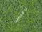 Mata dzikiej trawy łąka górska 2x40x25 cm 1870
