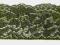 Gumo-koronka zieleń khaki szer.5,5cm P228-10m