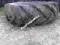 OPONA ROLNICZA 16,9R24 16,9/24 16.9R24 16.9/24