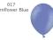 BALONY CORNFLOWER BLUE ŚLUB WESELE 5 CALI 100 szt