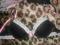 BIUSTONOSZE H&M PUSH UP 75B