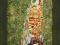 Gustav Klimt "Nadzieja" - 30x40