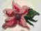 Broszka filcowa- kwiat filcowanie niepowtarzalna