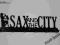 SAX AND THE CITY WIESZAK METALOPLASTYKA,