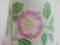 Wild Rose Flower of The Year 1990-por. England TCC