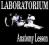 LABORATORIUM: Anatomy Lesson